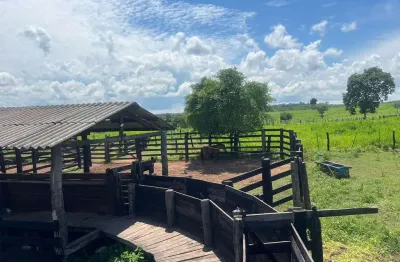 Fazenda à venda na Área Rural, 1, Zona Rural, Cuiabá
