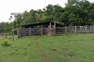 Chácara / sítio com 2 quartos à venda na Área Rural, 1, Zona Rural, Cuiabá