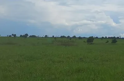Fazenda de 1.015 alqueires (4.912,6 hectares). terra dupla aptidão com estrutura