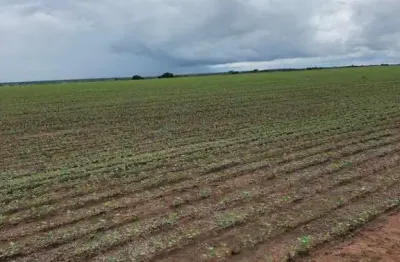 Fazenda à venda na Novo Mundo Goiás, 1, Zona Rural, Mundo Novo