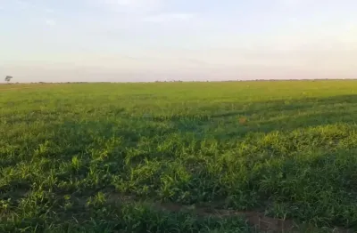 Fazenda à venda na Fazenda Entre Serra Nova Dourada E São Félix Araguaia Mt, 1, Zona Rural, São Félix do Araguaia