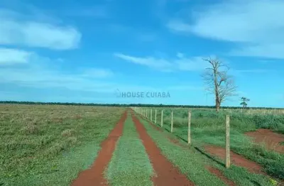 Fazenda de 159 alqueires no município de santa fé no estado de goiás