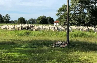 Fazenda à venda na Região De Aruanã No Estado De Goiás, 1, Zona Rural, Aruanã