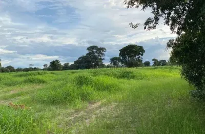 Fazenda de 575 alqueires somente 12 km da cidade de novo mundo no estado de goiá
