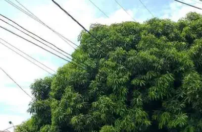 Terreno à venda na Avenida Tuiuiú, 02, Morada da Serra, Cuiabá