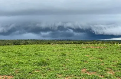 Fazenda de 150 hectares toda escriturada e em dia, na beira do lago do manso