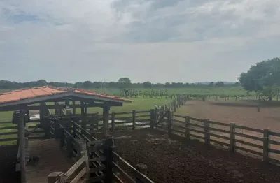 Fazenda de 110 alqueires no município da cidade de cocalinho