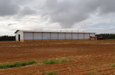 Fazenda com área de 12 mil hectares com 8.600 hectares em lavoura