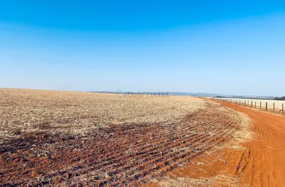 Fazenda de 158 alqueres no município de parauna no estado do goiás