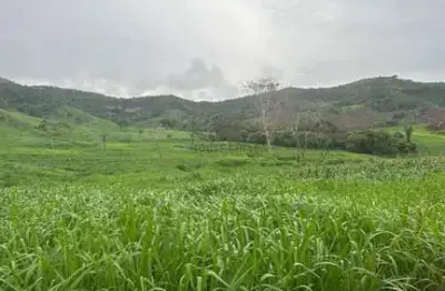 Área de terra de 247 alqueires com excelente localização na região da cidade de