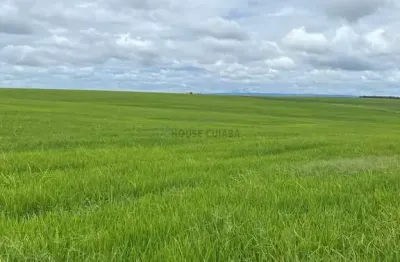 Fazenda de 968 hectares na região do município de cristalina goiás