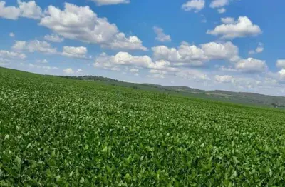 Fazenda de 350 alqueires, (840 hectares), na regiao do município de ipameri goia