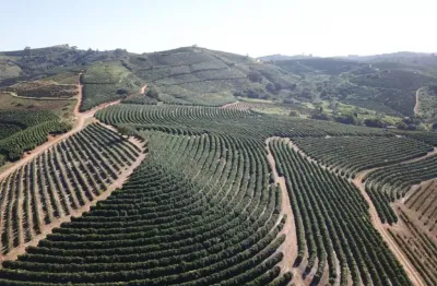 Fazenda de café produtiva de 166,66 alqueres (399,984 hectares) no município de