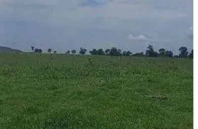 Fazenda de 110 alqueres, no município de jussara no estado de goiás
