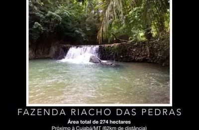 Fazenda à venda na Zona Rural, zona rural, Zona Rural, Acorizal