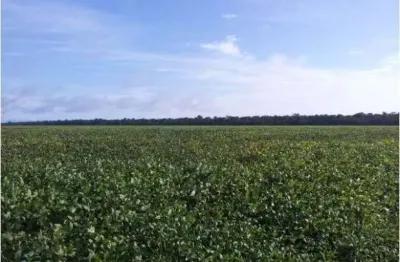 Propriedade de porteira fechada na região de nova ubiratan no estado do mato gro
