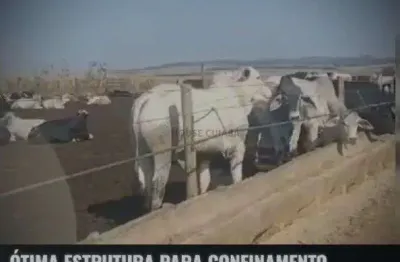 Fazenda nova casa branca no triangula mineiro de 5050 hectares