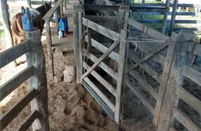 Fazenda à venda na Do Paredão Grande No Município Da Cidade De Tesouro Mt, 121, Zona Rural, Tesouro