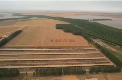 Fazenda de 20.190 mil hectares na região da cidade de campo verde no estado do m
