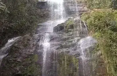 Fazenda à venda na 12,5 Km Do Centro De Buritis, 121, Zona Rural, Buritis