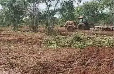 Fazenda de 126 alqueires (302,4 hectares) para dupla aptidão
