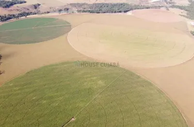 Fazenda na proximidade da cidade de vianópolis no estado de goiás