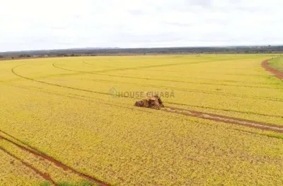 Fazenda na região da cidade de unaí no estado de minas gerais