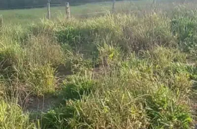 Fazenda à venda na Próximo 75 Km Da Cidade De Ubiratâ Mt, 1212, Zona Rural, Nova Ubiratã