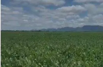 Fazenda de 2.396 hectares na região da cidade de jangada no estado de mato gross