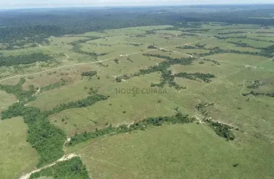 Fazenda de 33.293 mil hectares no município da cidade de nova bandeirantes no es