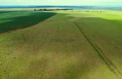 Fazenda de 723 hectares na região da cidade de rondonópolis no estado de mato gr