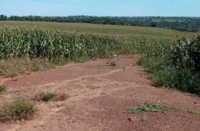 Fazenda de 320 hectares no município da cidade de juscimeira no estado do mato g