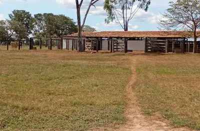 Fazenda de 1.616 alqueires (3.878,4 hectares) na região da cidade de aguaiana mt
