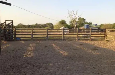 Fazenda de 517 hectares na região entre pirisal e a cidade de nossa senhora do l