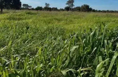 Sitio de 19 hectares na região da cidade de nossa senhora do livramento no mato