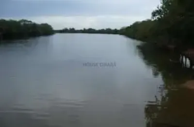 VENDO!!! Uma área rural na região da cidade de São Félix do Araguaia – MT, área