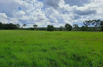 Fazenda com 91 hectares banhando pelo rio cuiabá no município da cidade de acori