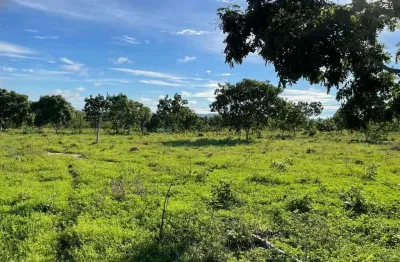 Sitio de 7 hectares na região barreiro branco no município de nossa senhora do l