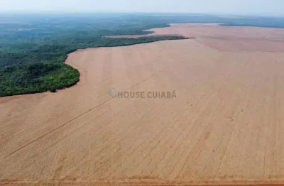 Fazenda de 3.705 hectares sendo 1.950 hectares em lavoura no mt.