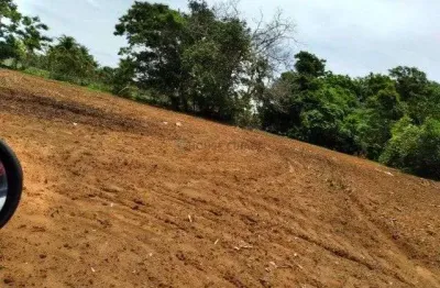 Fazenda à venda na Zona Rural, 00, Tira Sentido, Alto Paraguai
