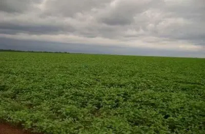 Vendo!!! umafazenda 33 mil hectares na região de porto alegre do norte mt