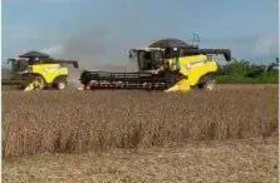 Vendo!!! uma fazenda 13.800 hectares região do xingu mato grosso mt.