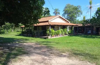 Vendo!!! um sítio de 20 hectares com ótima logística na região da cidade de rosa