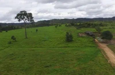 Vendo!!! uma fazenda de 248 alqueires, (595,20 hectares), 70 km de nova bandeira