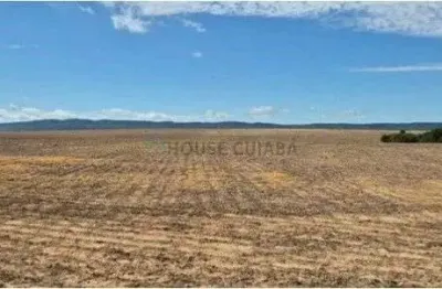 Fazenda para alugar na ÀRea Para Arrendamento Lavoura, Washington, Centro, Planalto da Serra