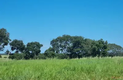 Fazenda premium a 95 km de cuiabá: estrutura completa e pastagens formada