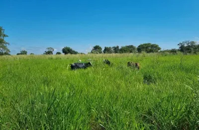 Fazenda à venda na 95 km da capital de cuiabá mt., parc neury, zona rural, nobres, 400 m2 por r$ 7.500.000