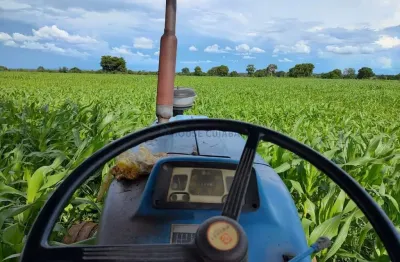 Fazenda à venda na Fazenda Mata Grande Jangada, 1, Centro, Jangada