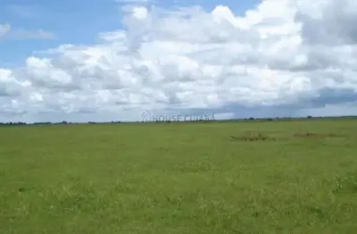 Fazenda à venda na Fazenda À Venda – Pantanal Mato-grossense , Adeli, Zona Rural, Poconé