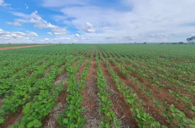 Fazenda à venda na Zona Rural, Nova Mutum , 2000 m2 por R$ 112.000.000